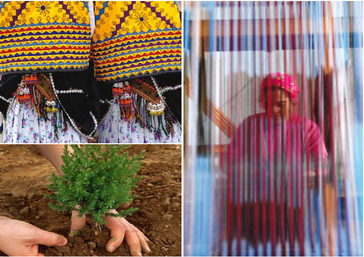 BİR KÖY BİR ÜRÜN PROJESİ