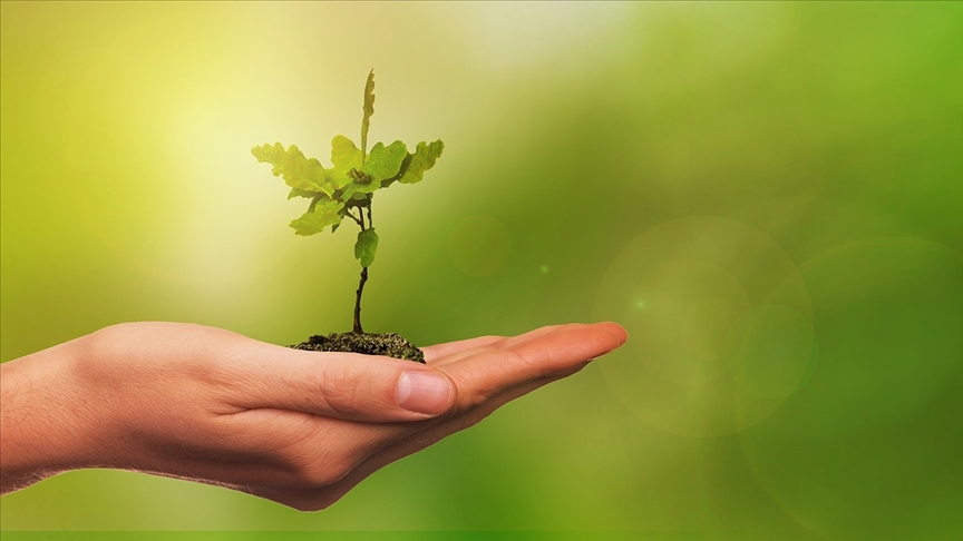 Yeşil Mutabakat Çalıştayları Başladı