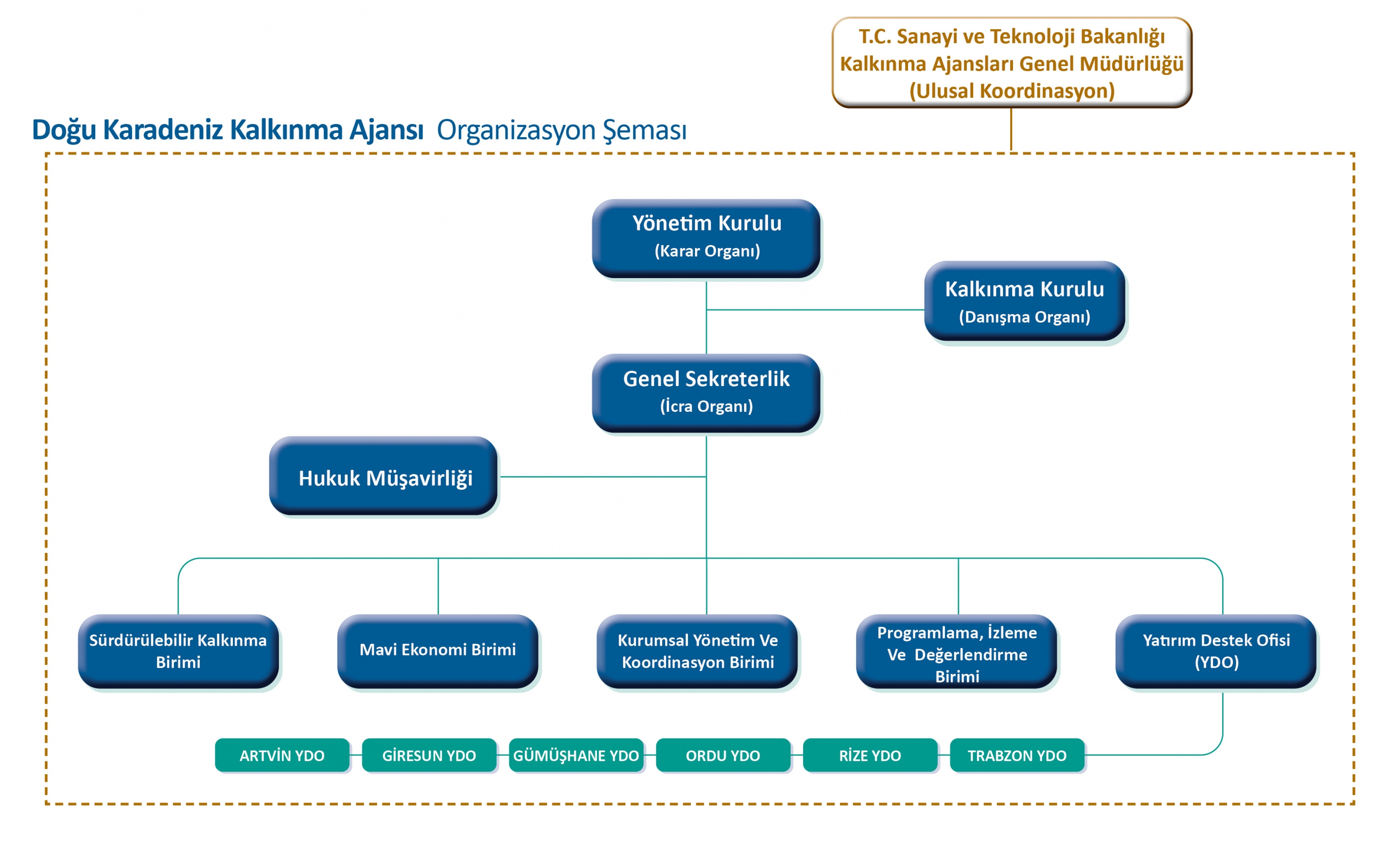 Organizasyon Şeması